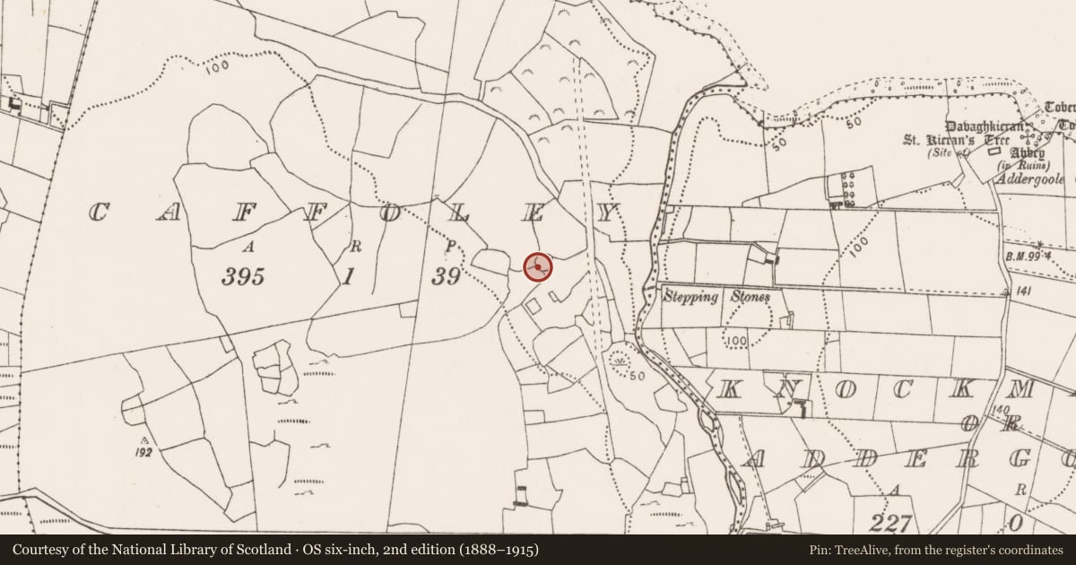 Ordnance Survey six-inch map, 2nd edition (1888–1915) covering the location of Enclosure, Caffoley, County Mayo, with a pin at the register's coordinates
