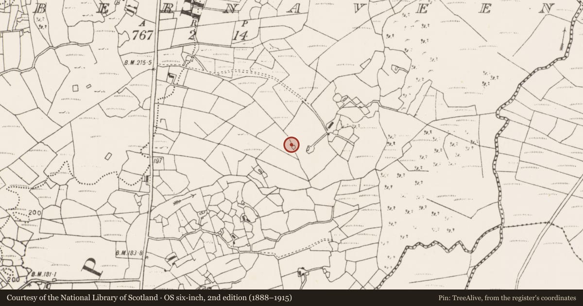 Ordnance Survey six-inch map, 2nd edition (1888–1915) covering the location of Mound, Tobernaveen, County Mayo, with a pin at the register's coordinates