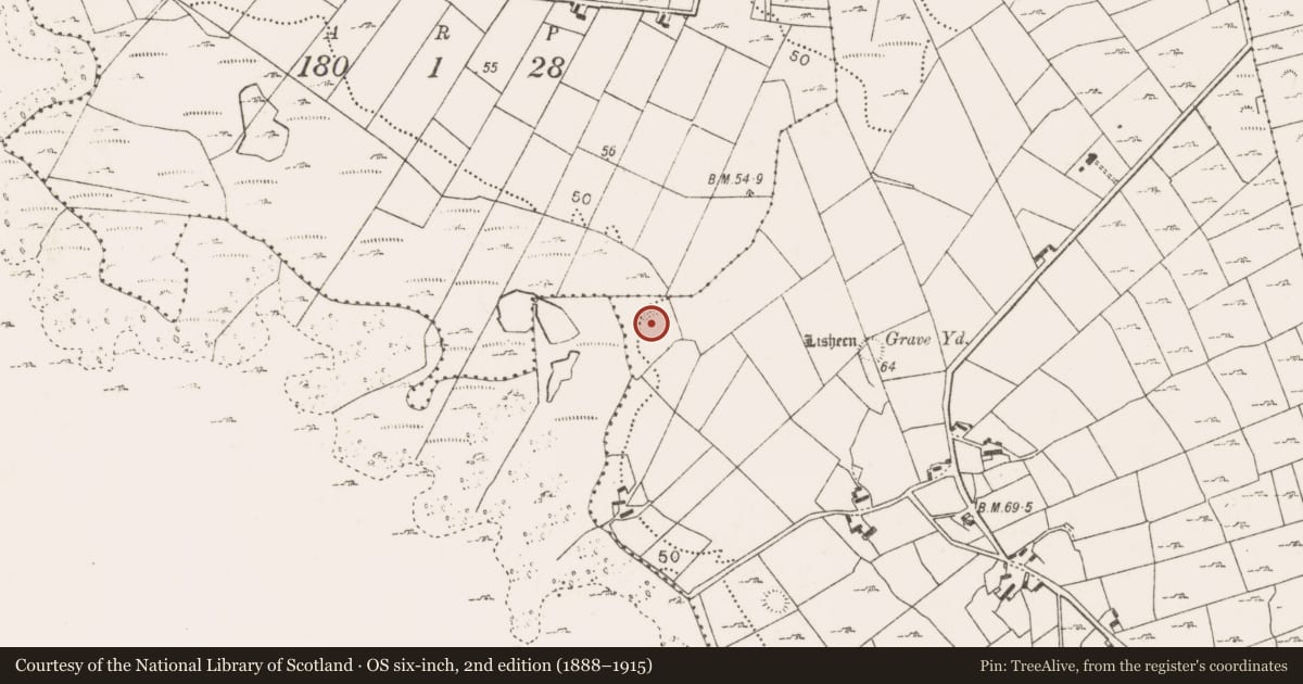 Ordnance Survey six-inch map, 2nd edition (1888–1915) covering the location of Ringfort - rath, Brackwanshagh, County Mayo, with a pin at the register's coordinates