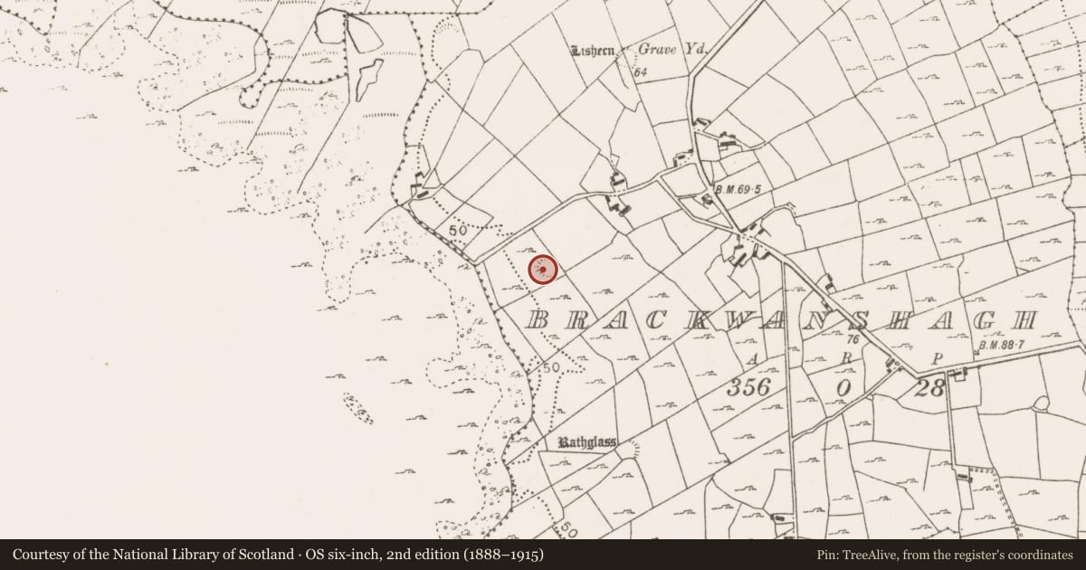 Ordnance Survey six-inch map, 2nd edition (1888–1915) covering the location of Ringfort - rath, Brackwanshagh, County Mayo, with a pin at the register's coordinates