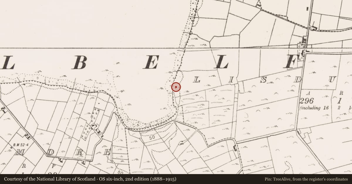 Ordnance Survey six-inch map, 2nd edition (1888–1915) covering the location of Ringfort - rath, Lisduvoge, County Mayo, with a pin at the register's coordinates