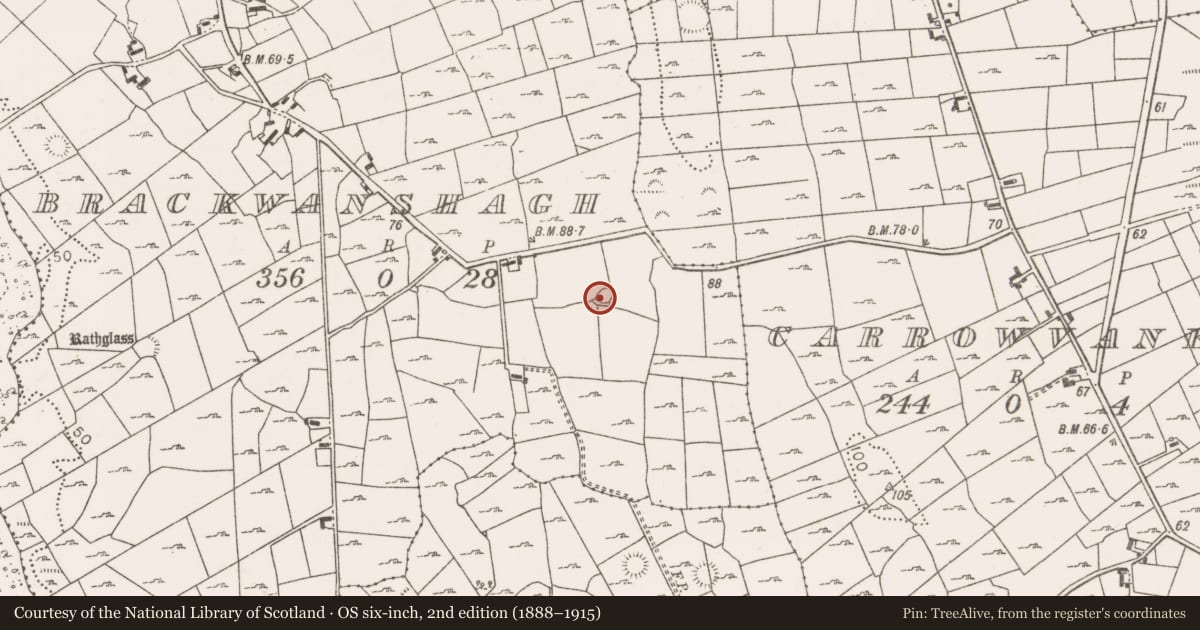 Ordnance Survey six-inch map, 2nd edition (1888–1915) covering the location of Enclosure, Brackwanshagh, County Mayo, with a pin at the register's coordinates