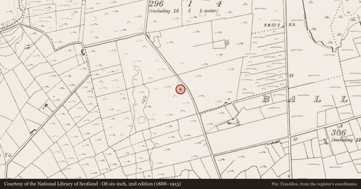 Ordnance Survey six-inch map, 2nd edition (1888–1915) covering the location of Enclosure, Lisduvoge, County Mayo, with a pin at the register's coordinates
