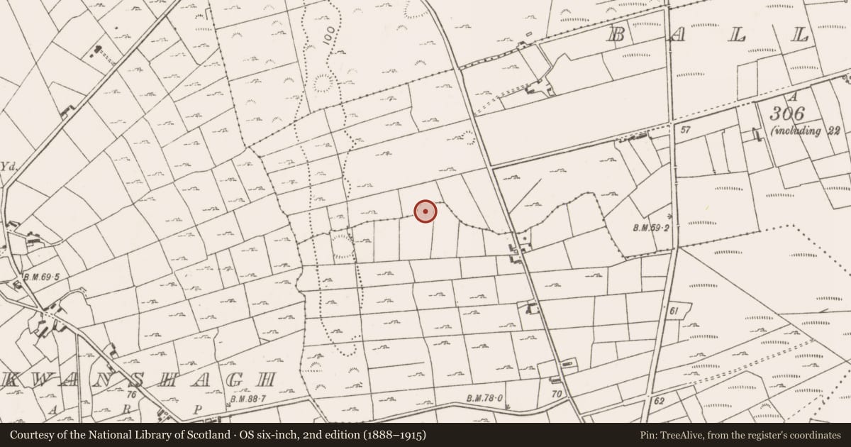 Ordnance Survey six-inch map, 2nd edition (1888–1915) covering the location of Enclosure, Carrowvaneen, County Mayo, with a pin at the register's coordinates
