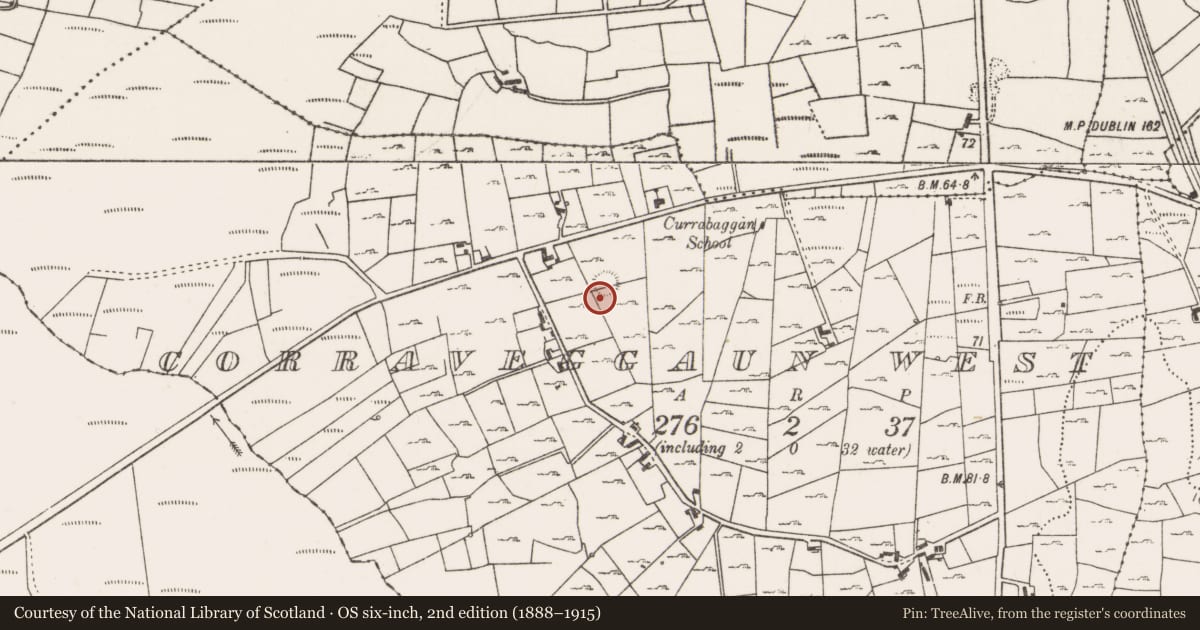 Ordnance Survey six-inch map, 2nd edition (1888–1915) covering the location of Enclosure, Corraveggaun West, County Mayo, with a pin at the register's coordinates