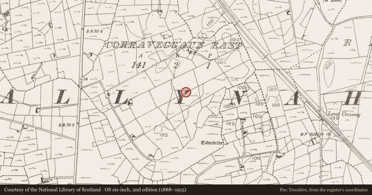 Ordnance Survey six-inch map, 2nd edition (1888–1915) covering the location of Children's burial ground, Corraveggaun East, County Mayo, with a pin at the register's coordinates