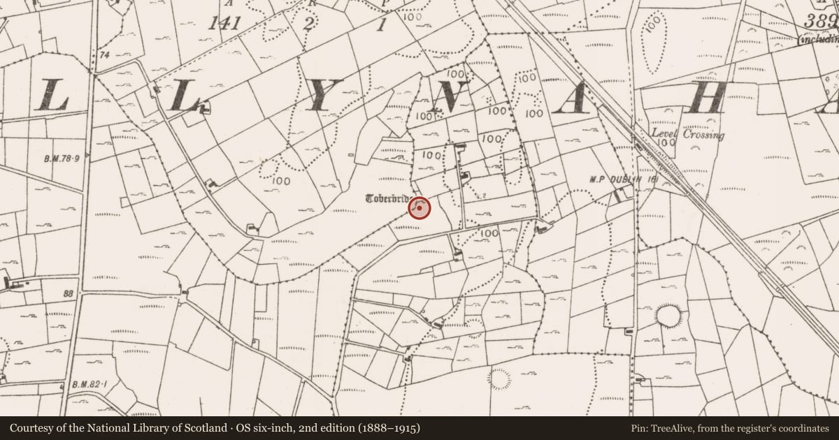 Ordnance Survey six-inch map, 2nd edition (1888–1915) covering the location of Ritual site - holy well, Lissaniska West, County Mayo, with a pin at the register's coordinates