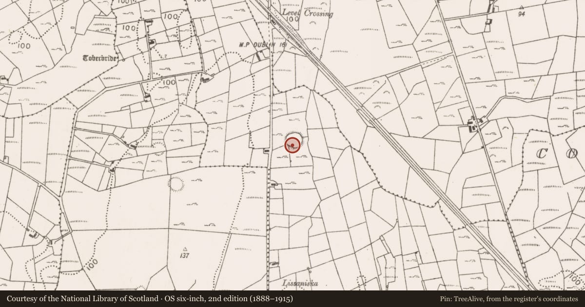 Ordnance Survey six-inch map, 2nd edition (1888–1915) covering the location of Ringfort - rath, Lissaniska East, County Mayo, with a pin at the register's coordinates
