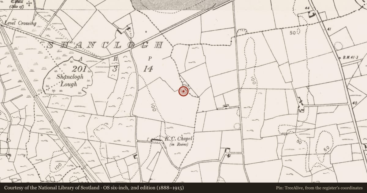 Ordnance Survey six-inch map, 2nd edition (1888–1915) covering the location of Ringfort - rath, County Mayo, with a pin at the register's coordinates