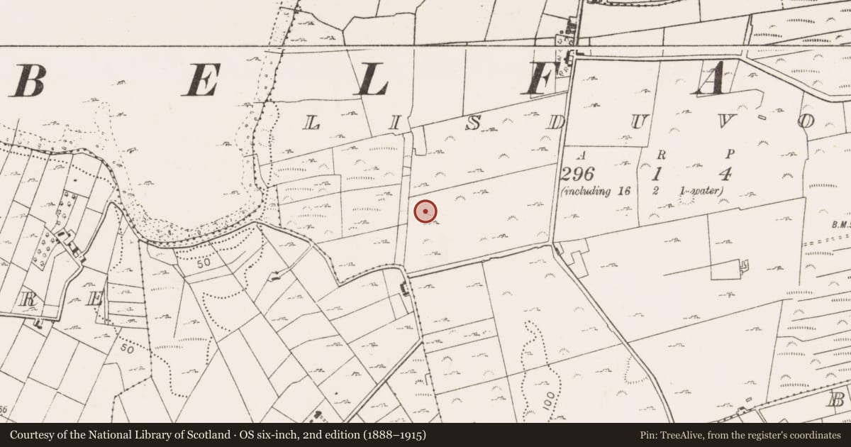 Ordnance Survey six-inch map, 2nd edition (1888–1915) covering the location of Enclosure, Lisduvoge, County Mayo, with a pin at the register's coordinates