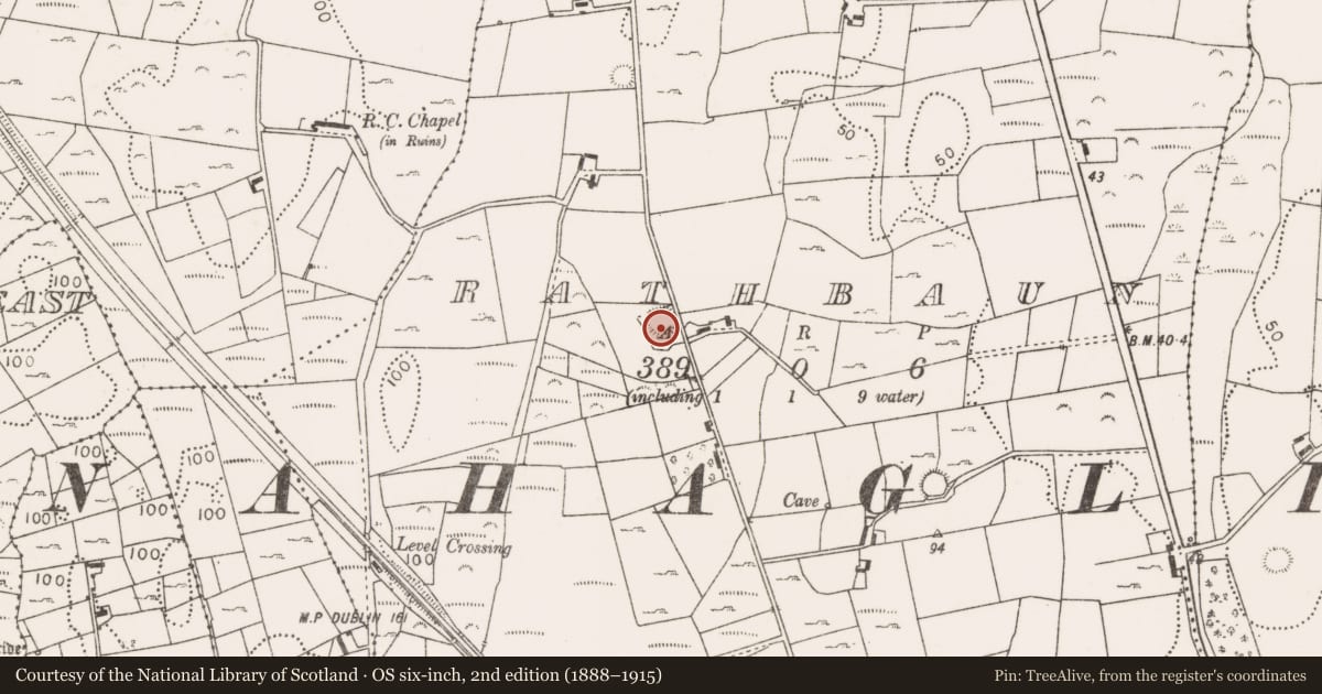 Ordnance Survey six-inch map, 2nd edition (1888–1915) covering the location of Ringfort - rath, Rathbaun (Tirawley By., Ballynahaglish Par.), County Mayo, with a pin at the register's coordinates