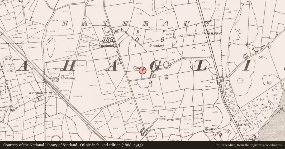 Ordnance Survey six-inch map, 2nd edition (1888–1915) covering the location of Souterrain, Rathbaun (Tirawley By., Ballynahaglish Par.), County Mayo, with a pin at the register's coordinates