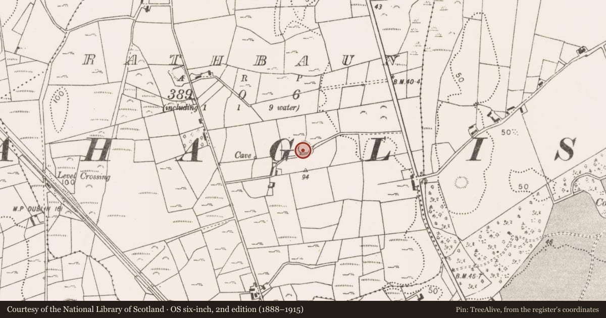 Ordnance Survey six-inch map, 2nd edition (1888–1915) covering the location of Ringfort - rath, Rathbaun (Tirawley By., Ballynahaglish Par.), County Mayo, with a pin at the register's coordinates