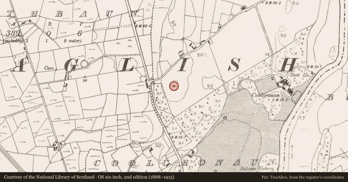Ordnance Survey six-inch map, 2nd edition (1888–1915) covering the location of Enclosure, Coolcronaun, County Mayo, with a pin at the register's coordinates