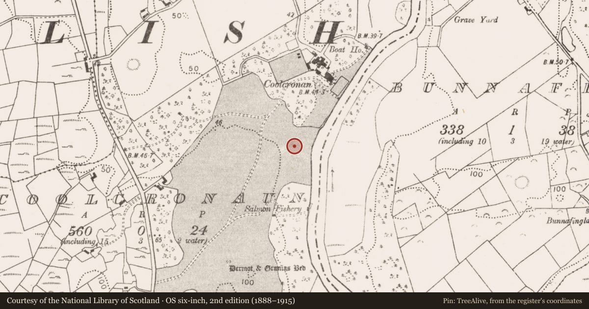 Ordnance Survey six-inch map, 2nd edition (1888–1915) covering the location of Bullaun stone, Coolcronaun, County Mayo, with a pin at the register's coordinates
