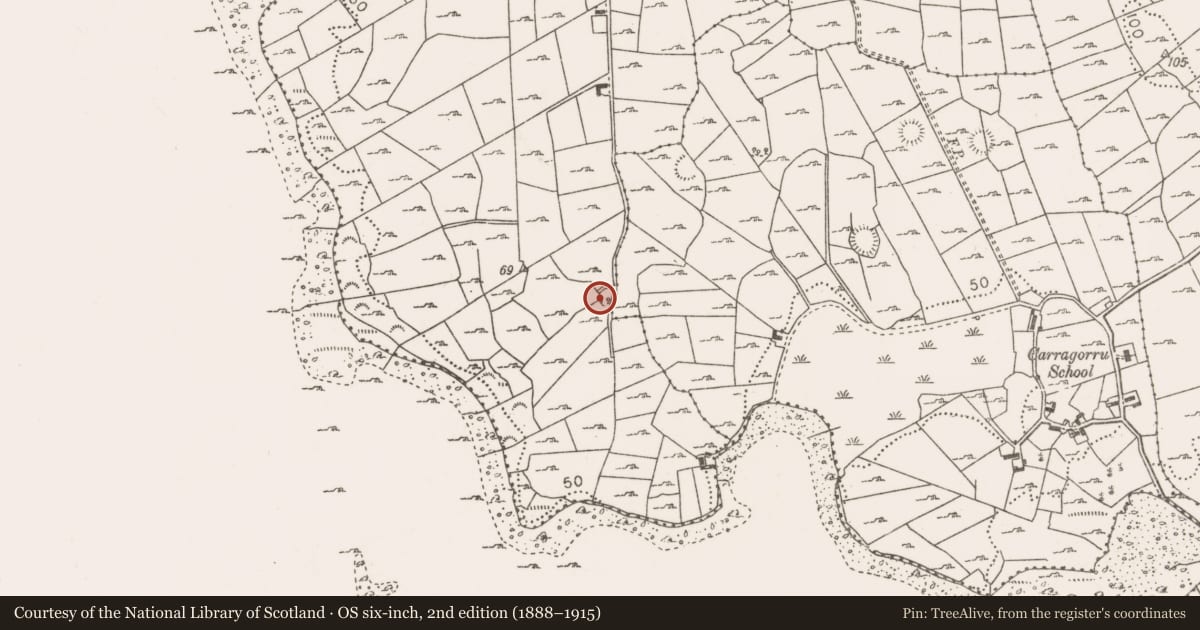 Ordnance Survey six-inch map, 2nd edition (1888–1915) covering the location of Ringfort - rath, Brackwanshagh, County Mayo, with a pin at the register's coordinates