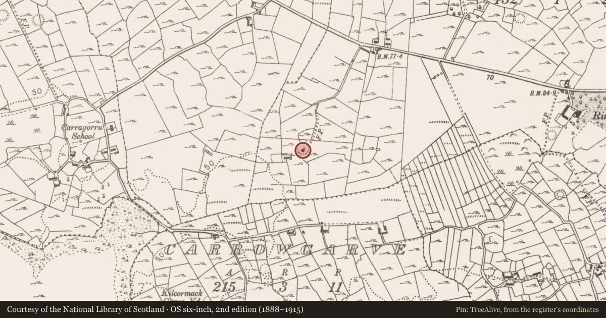 Ordnance Survey six-inch map, 2nd edition (1888–1915) covering the location of Ringfort - rath, Rinagry, County Mayo, with a pin at the register's coordinates