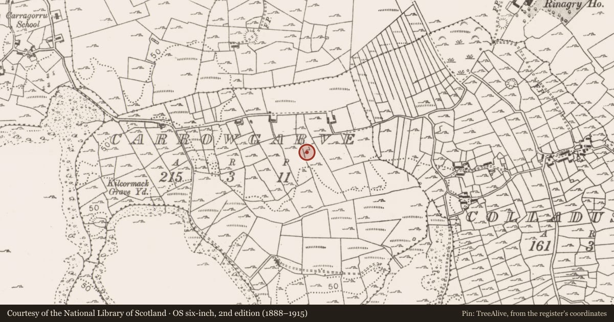 Ordnance Survey six-inch map, 2nd edition (1888–1915) covering the location of Enclosure, Carrowgarve, County Mayo, with a pin at the register's coordinates