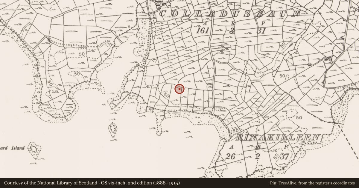 Ordnance Survey six-inch map, 2nd edition (1888–1915) covering the location of Megalithic tomb - court tomb, Colladussaun, County Mayo, with a pin at the register's coordinates