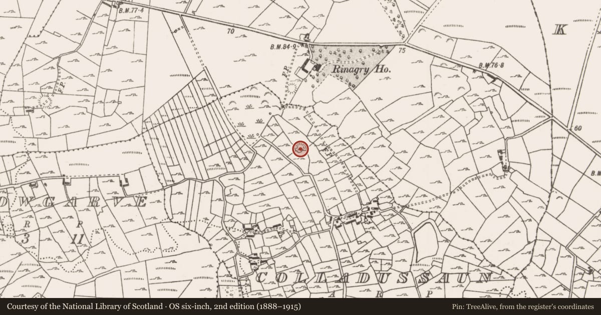 Ordnance Survey six-inch map, 2nd edition (1888–1915) covering the location of Ringfort - rath, Colladussaun, County Mayo, with a pin at the register's coordinates