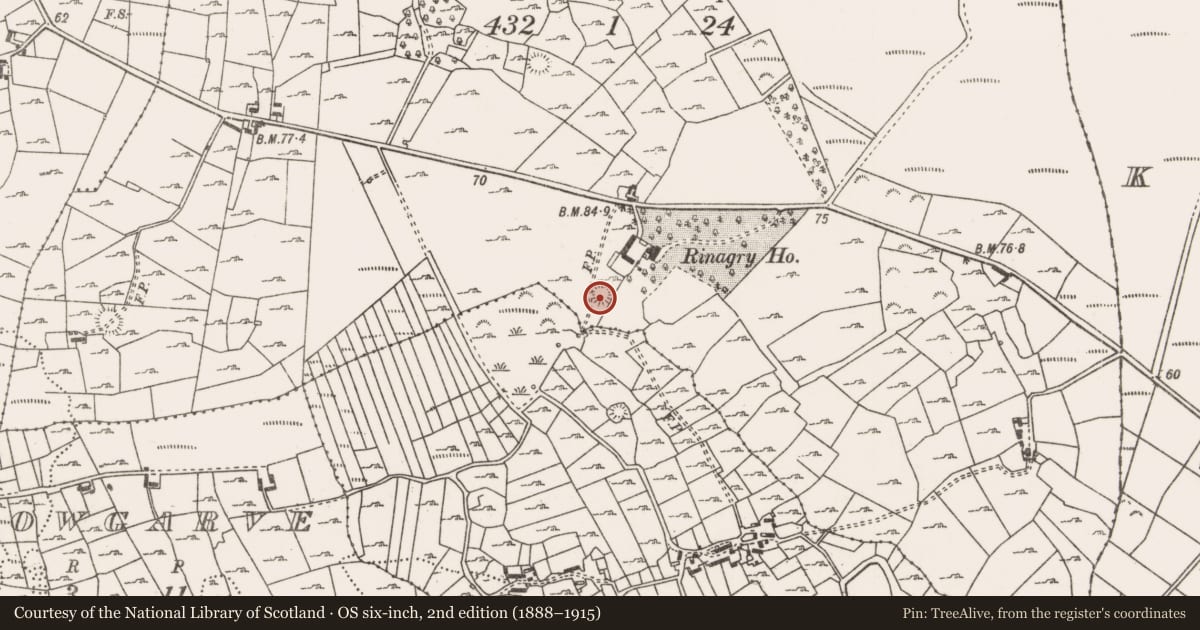 Ordnance Survey six-inch map, 2nd edition (1888–1915) covering the location of Ringfort - rath, Rinagry, County Mayo, with a pin at the register's coordinates