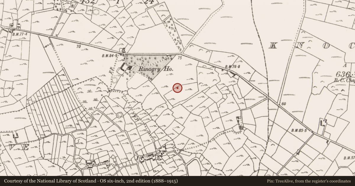 Ordnance Survey six-inch map, 2nd edition (1888–1915) covering the location of Enclosure, Rinagry, County Mayo, with a pin at the register's coordinates