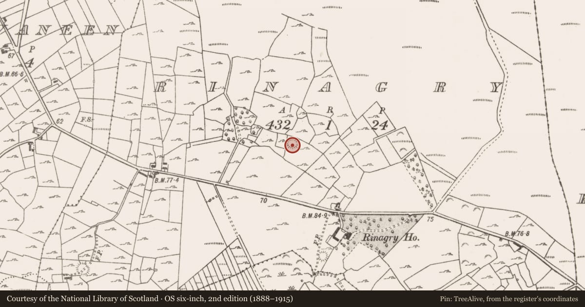 Ordnance Survey six-inch map, 2nd edition (1888–1915) covering the location of Ringfort - rath, Rinagry, County Mayo, with a pin at the register's coordinates