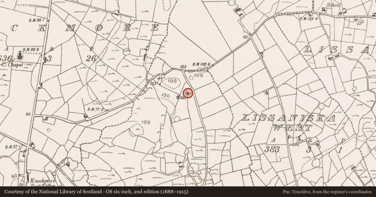 Ordnance Survey six-inch map, 2nd edition (1888–1915) covering the location of Ringfort - rath, Gortnadrehy, County Mayo, with a pin at the register's coordinates