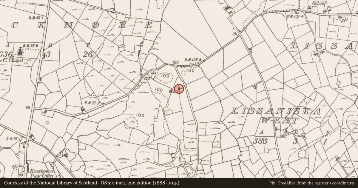 Ordnance Survey six-inch map, 2nd edition (1888–1915) covering the location of Souterrain, Gortnadrehy, County Mayo, with a pin at the register's coordinates