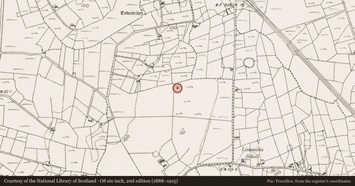 Ordnance Survey six-inch map, 2nd edition (1888–1915) covering the location of Enclosure, Lissaniska West, County Mayo, with a pin at the register's coordinates