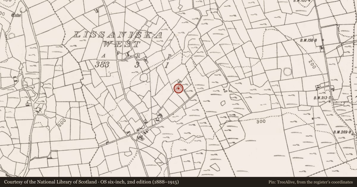 Ordnance Survey six-inch map, 2nd edition (1888–1915) covering the location of Megalithic tomb - unclassified, Lissaniska West, County Mayo, with a pin at the register's coordinates