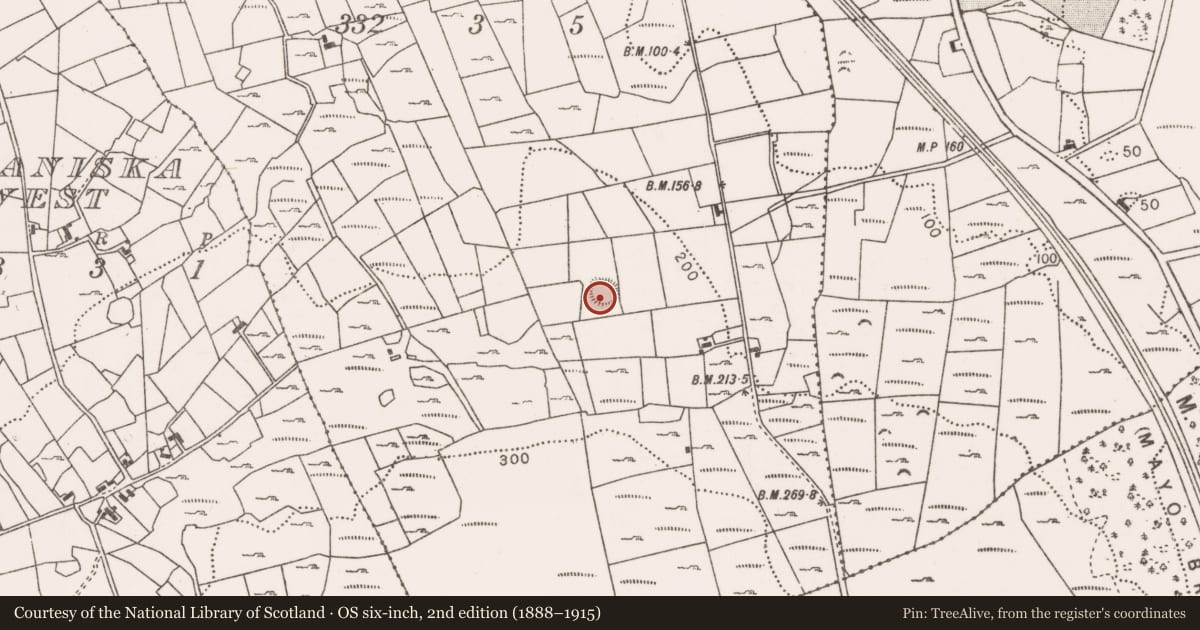 Ordnance Survey six-inch map, 2nd edition (1888–1915) covering the location of Ringfort - rath, Lissaniska East, County Mayo, with a pin at the register's coordinates