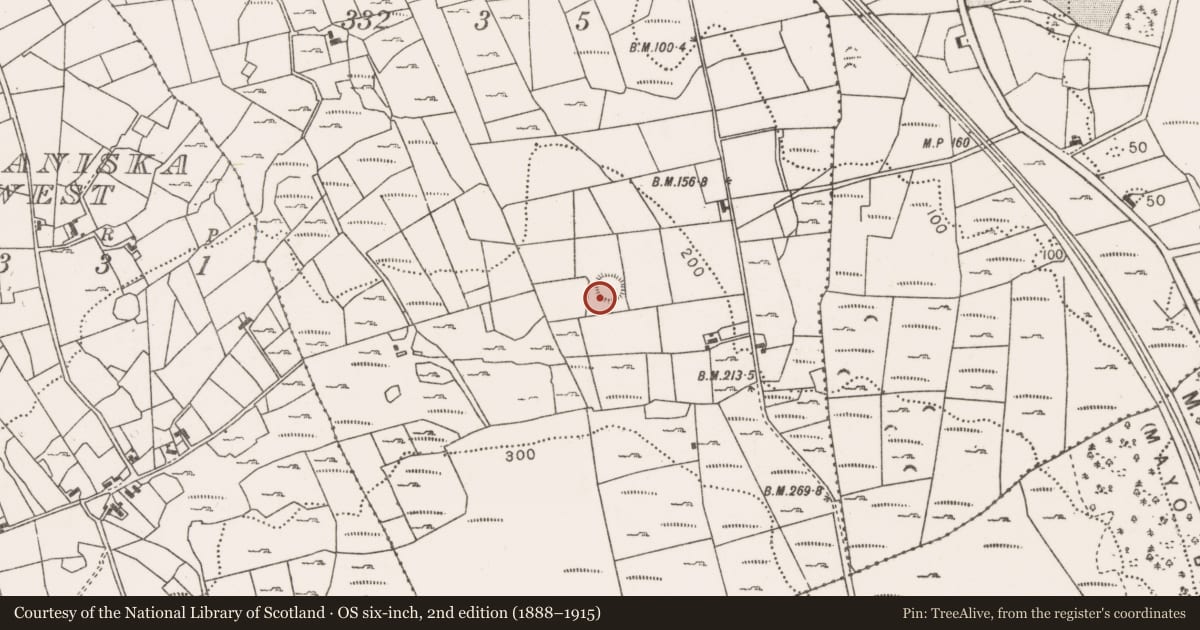 Ordnance Survey six-inch map, 2nd edition (1888–1915) covering the location of Souterrain, Lissaniska East, County Mayo, with a pin at the register's coordinates