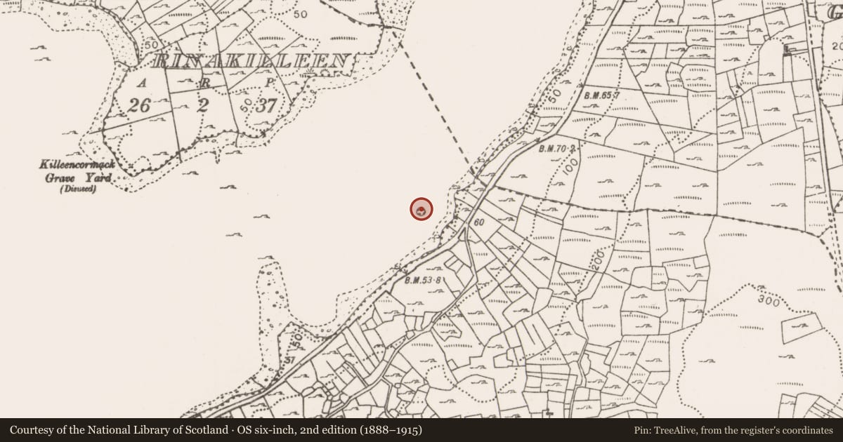 Ordnance Survey six-inch map, 2nd edition (1888–1915) covering the location of Crannog, Lough Conn, County Mayo, with a pin at the register's coordinates