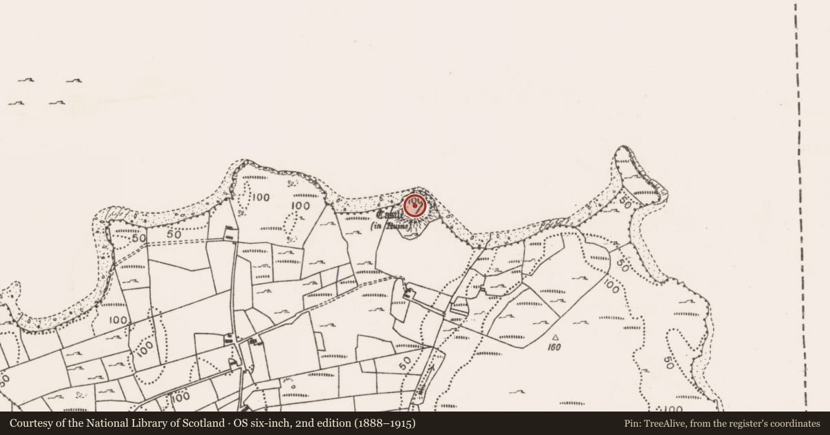 Ordnance Survey six-inch map, 2nd edition (1888–1915) covering the location of Castle - unclassified, Terrybaun, County Mayo, with a pin at the register's coordinates