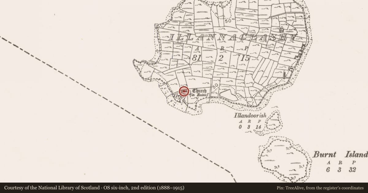 Ordnance Survey six-inch map, 2nd edition (1888–1915) covering the location of Church, Illannaglashy, County Mayo, with a pin at the register's coordinates