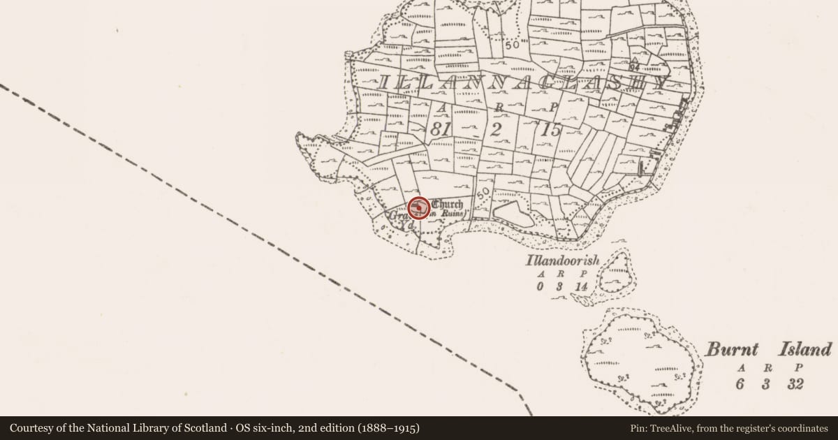 Ordnance Survey six-inch map, 2nd edition (1888–1915) covering the location of Graveyard, Illannaglashy, County Mayo, with a pin at the register's coordinates