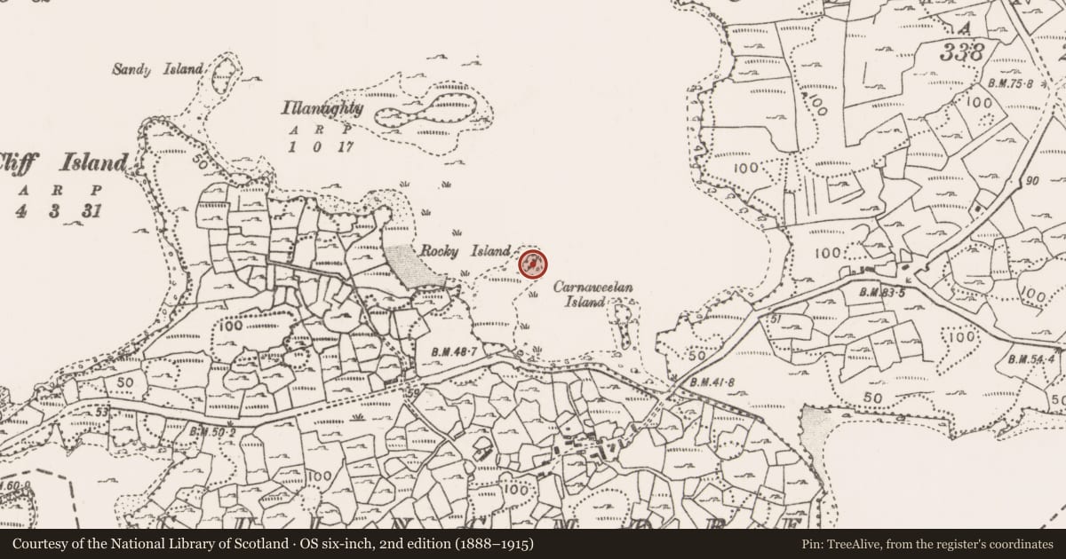 Ordnance Survey six-inch map, 2nd edition (1888–1915) covering the location of Crannog, Lough Conn, County Mayo, with a pin at the register's coordinates