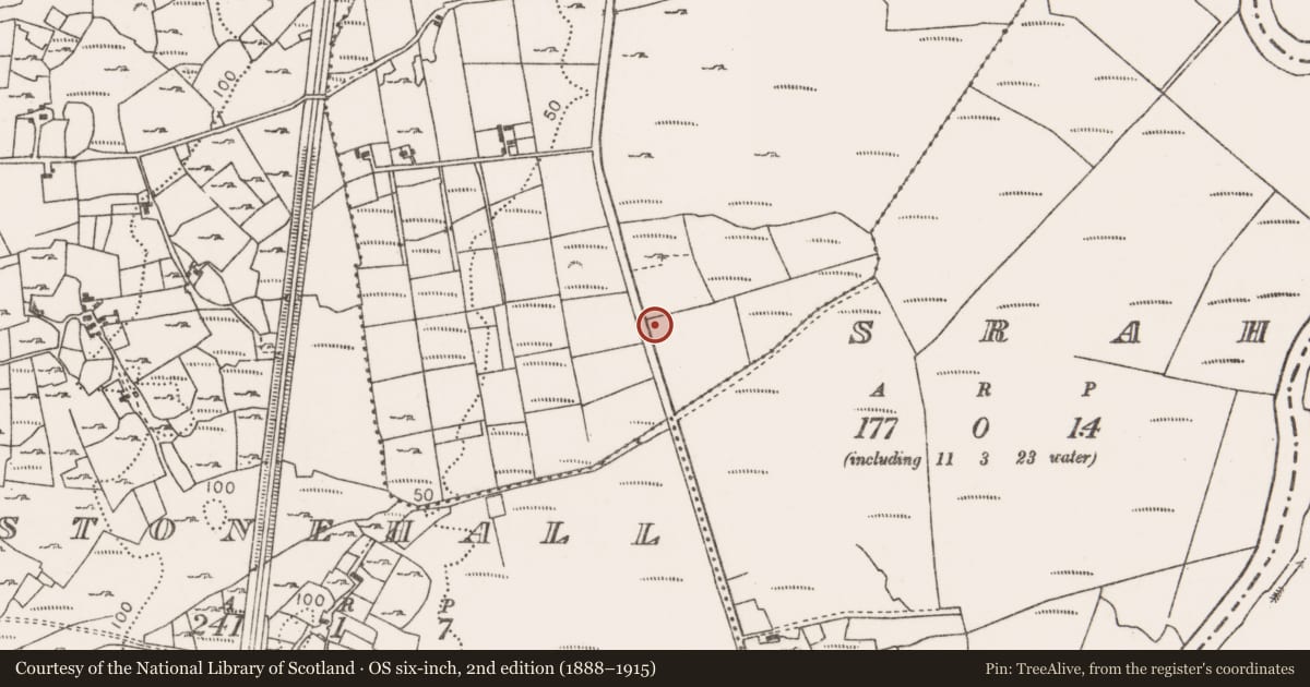 Ordnance Survey six-inch map, 2nd edition (1888–1915) covering the location of Children's burial ground, Sraheen, County Mayo, with a pin at the register's coordinates