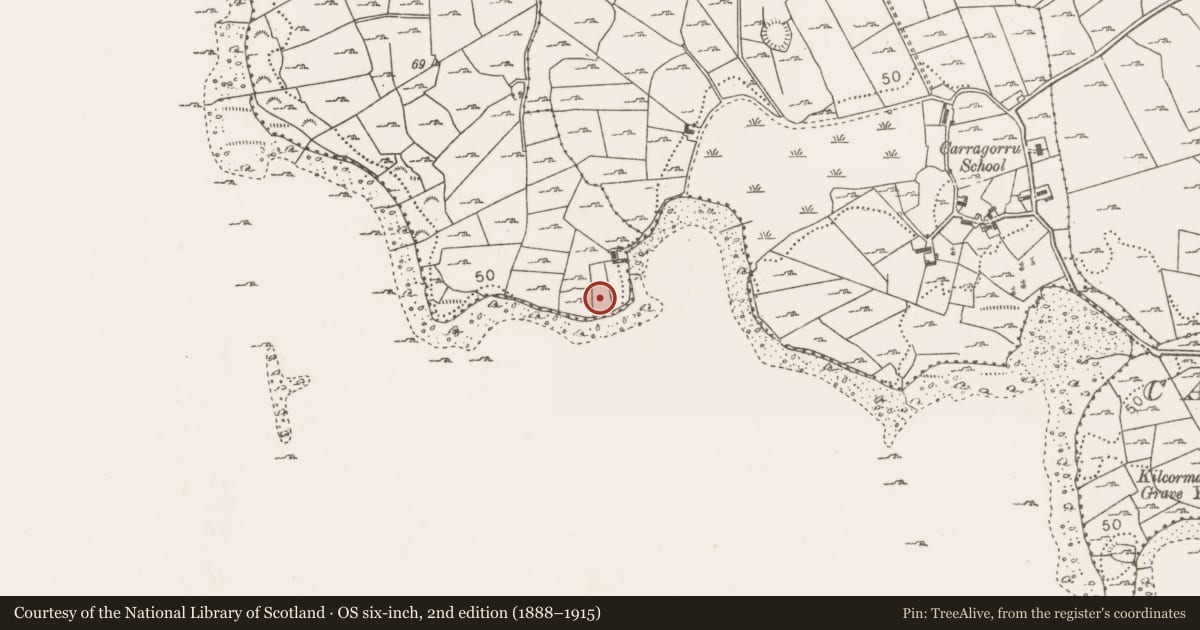Ordnance Survey six-inch map, 2nd edition (1888–1915) covering the location of Enclosure, Brackwanshagh, County Mayo, with a pin at the register's coordinates