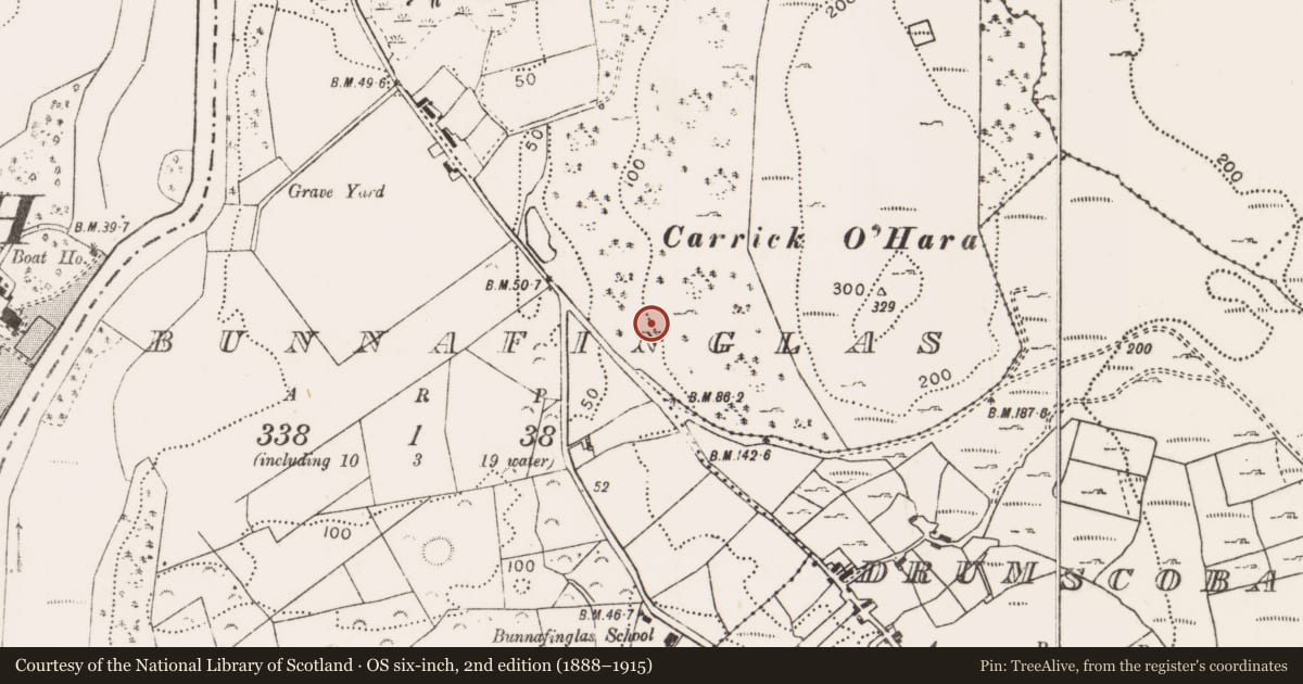Ordnance Survey six-inch map, 2nd edition (1888–1915) covering the location of Megalithic tomb - wedge tomb, Bunnafinglas, County Mayo, with a pin at the register's coordinates