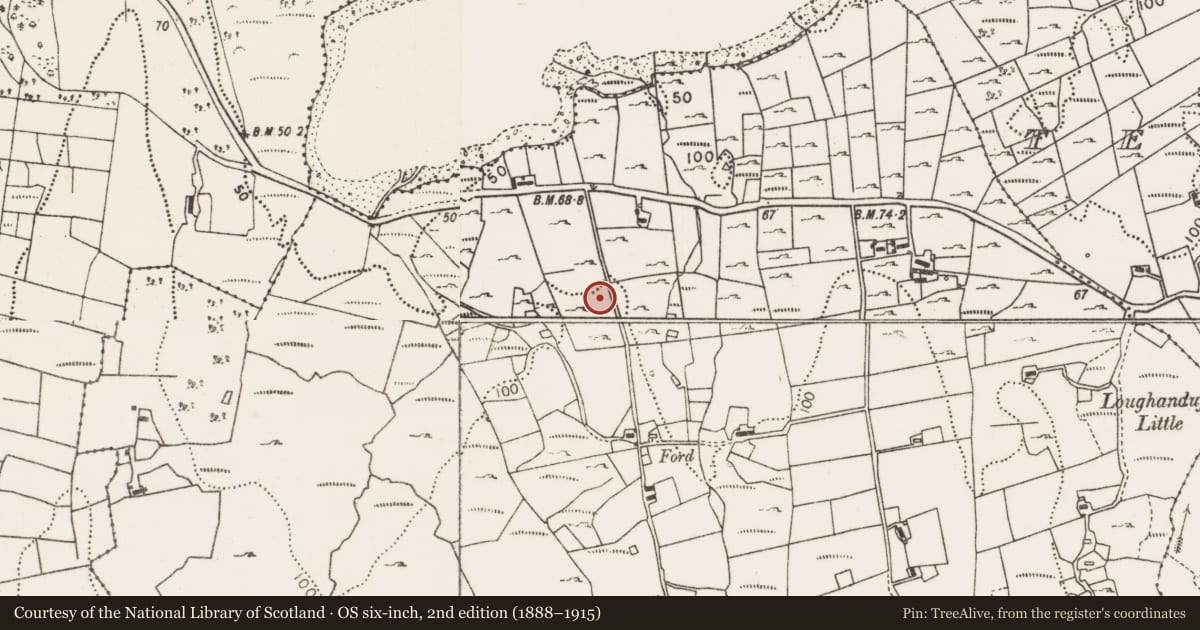 Ordnance Survey six-inch map, 2nd edition (1888–1915) covering the location of Standing stone, Terryduff, County Mayo, with a pin at the register's coordinates