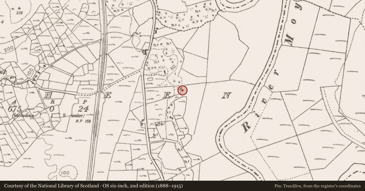 Ordnance Survey six-inch map, 2nd edition (1888–1915) covering the location of Enclosure, Sraheen, County Mayo, with a pin at the register's coordinates
