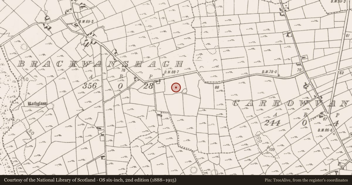 Ordnance Survey six-inch map, 2nd edition (1888–1915) covering the location of Boulder-burial, Brackwanshagh, County Mayo, with a pin at the register's coordinates