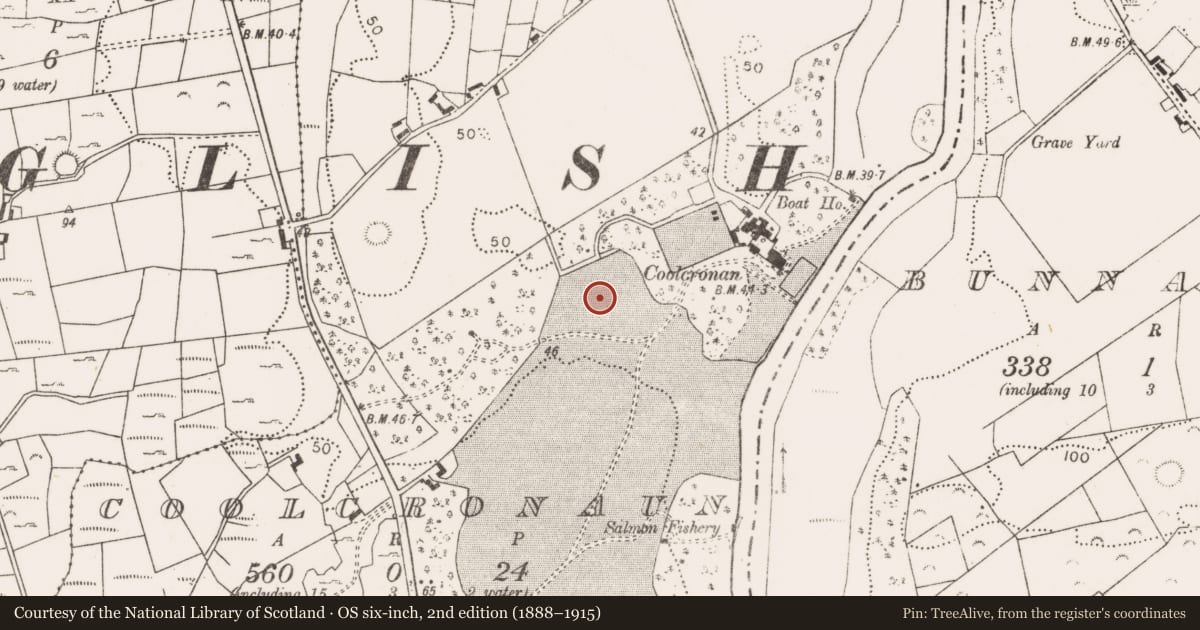 Ordnance Survey six-inch map, 2nd edition (1888–1915) covering the location of Standing stone, Coolcronaun, County Mayo, with a pin at the register's coordinates