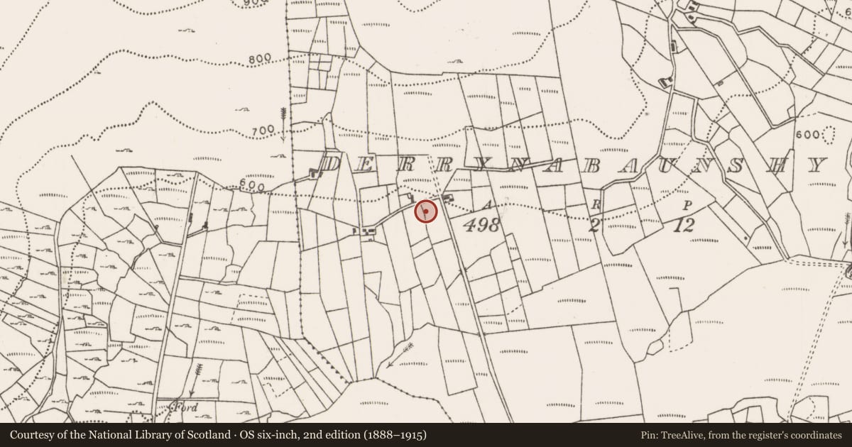 Ordnance Survey six-inch map, 2nd edition (1888–1915) covering the location of Anomalous stone group, Derrynabaunshy, County Mayo, with a pin at the register's coordinates