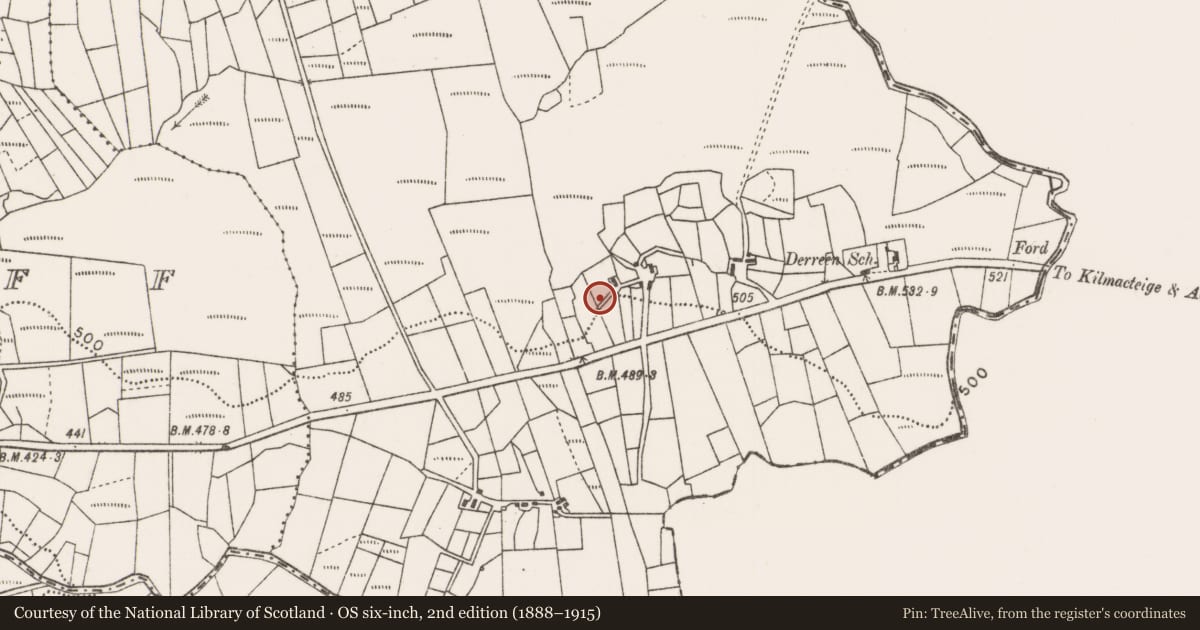 Ordnance Survey six-inch map, 2nd edition (1888–1915) covering the location of Megalithic tomb - wedge tomb, Derrynabaunshy, County Mayo, with a pin at the register's coordinates