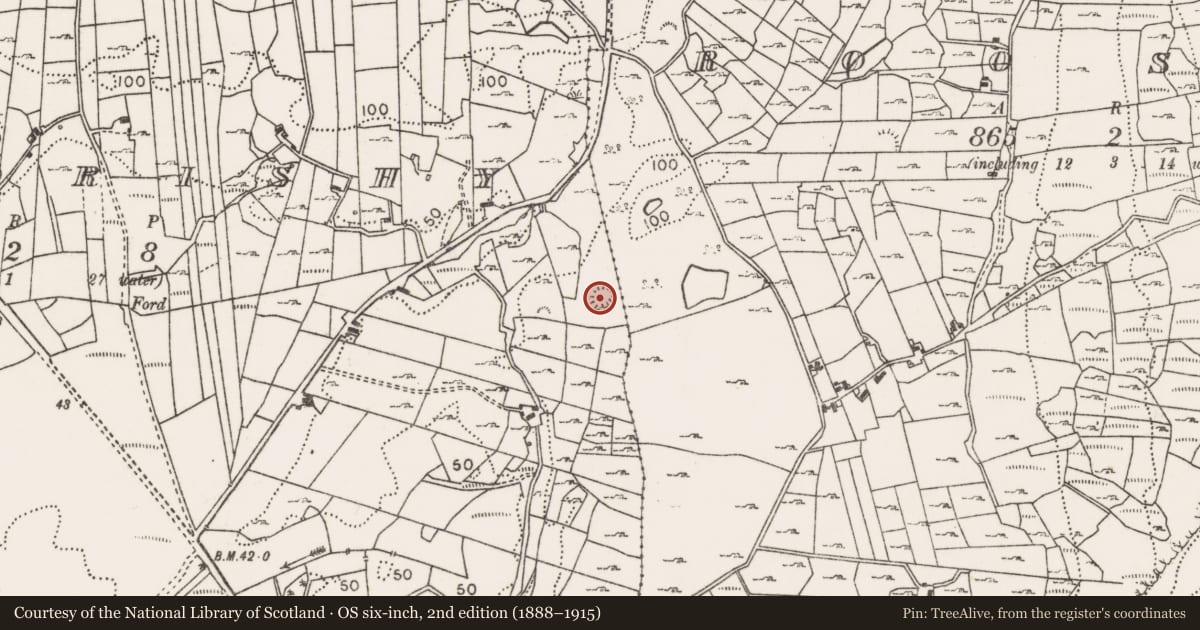 Ordnance Survey six-inch map, 2nd edition (1888–1915) covering the location of Ringfort - rath, Corradrishy, County Mayo, with a pin at the register's coordinates