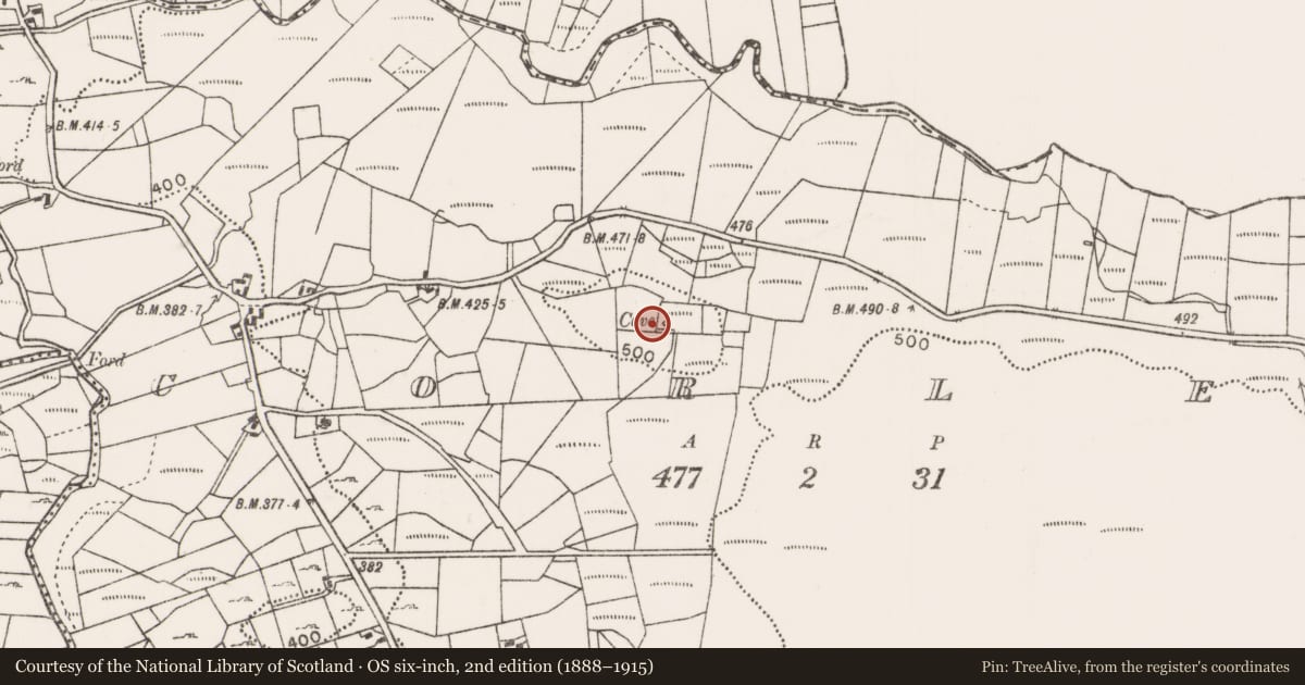 Ordnance Survey six-inch map, 2nd edition (1888–1915) covering the location of Souterrain, Corlee, County Mayo, with a pin at the register's coordinates