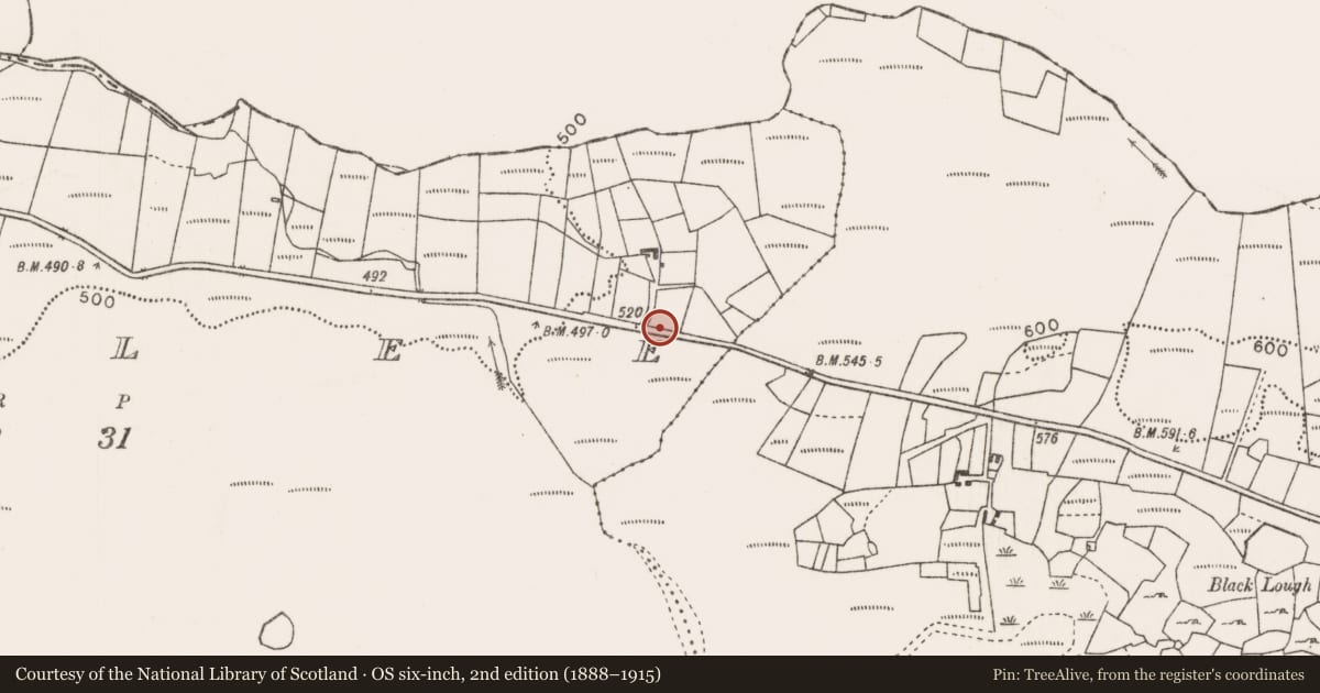 Ordnance Survey six-inch map, 2nd edition (1888–1915) covering the location of Megalithic tomb - unclassified, Corlee, County Mayo, with a pin at the register's coordinates
